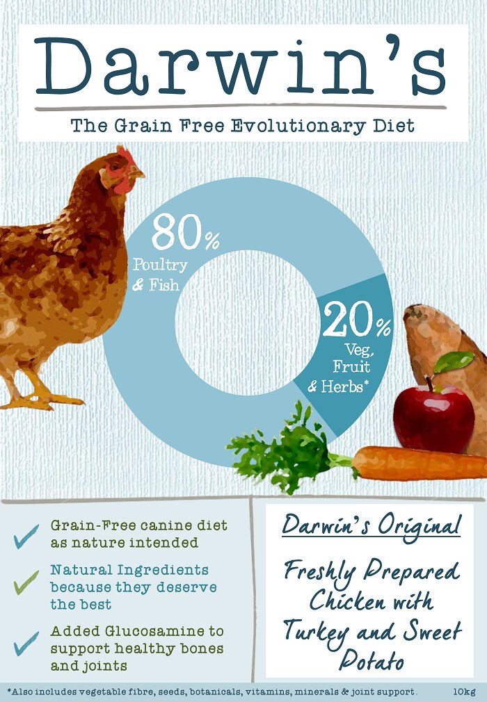 Darwin's Adult 80/20 Chicken, Turkey & Sweet Potato Grain Free Dry Dog Food - 10kg
